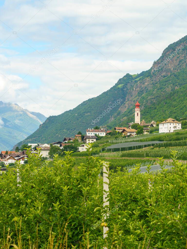 Summer landscape along the cycleway of the Venosta valley and the Adige river, in the Bolzano province, Trentino Alto Adige, Italy