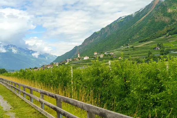 Paisagem Verão Longo Ciclovia Vale Venosta Rio Adige Província Bolzano — Fotografia de Stock