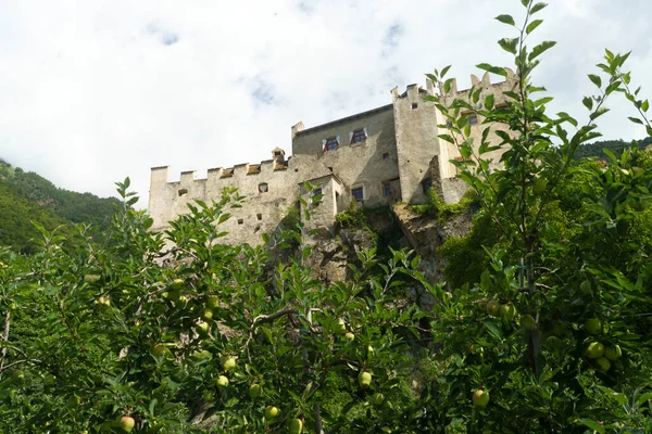 Letní Krajina Podél Cyklostezky Údolí Venosta Řeky Adige Provincii Bolzano — Stock fotografie