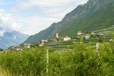 İtalya 'nın Trentino Alto Adige eyaletindeki Venosta vadisi ve Adige nehri boyunca uzanan yaz manzarası.