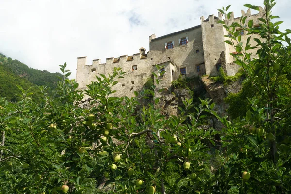 Sommerlandschaft Entlang Des Vinschgauer Und Etschradweges Der Provinz Bozen Trentino — Stockfoto