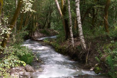 İtalya 'nın Trentino Alto Adige eyaletindeki Venosta vadisi ve Adige nehri boyunca uzanan yaz manzarası. Akış