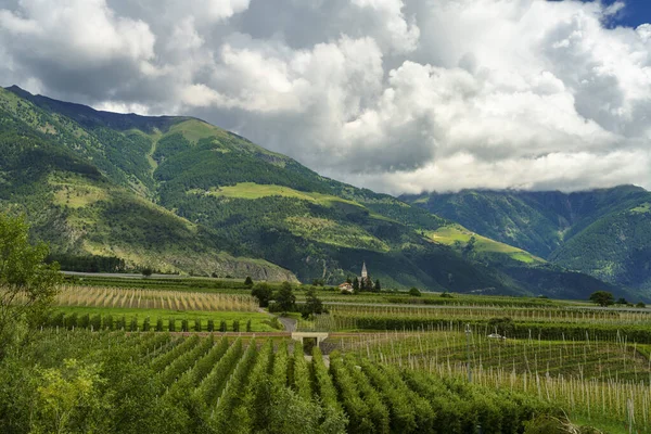 Sommarlandskap Längs Cykelvägen Venostadalen Och Floden Adige Bolzanoprovinsen Trentino Alto — Stockfoto