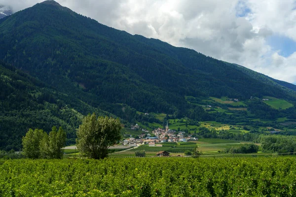 Zomer Landschap Langs Fietsroute Van Venosta Vallei Rivier Adige Bolzano — Stockfoto