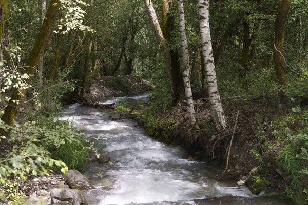 Zomer Landschap Langs Fietsroute Van Venosta Vallei Rivier Adige Bolzano — Stockfoto