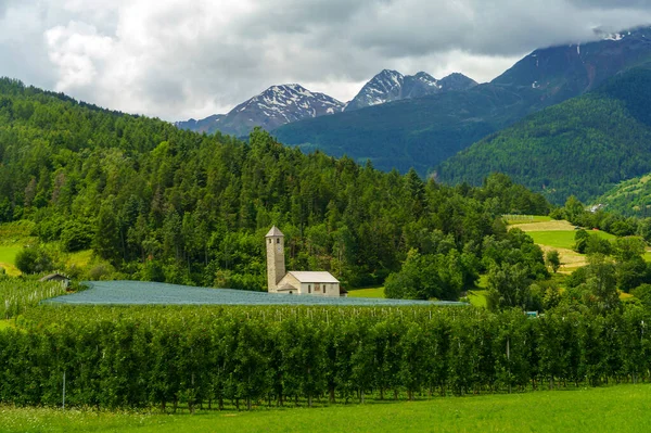 Zomer Landschap Langs Fietsroute Van Venosta Vallei Adige Rivier Bolzano — Stockfoto