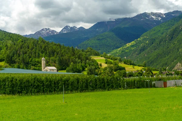 Letní Krajina Podél Cyklostezky Údolí Venosta Řeky Adige Provincii Bolzano — Stock fotografie