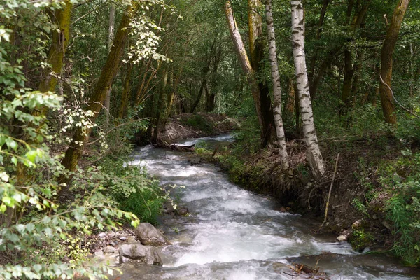 Paisaje Verano Largo Calzada Del Valle Venosta Río Adigio Provincia —  Fotos de Stock