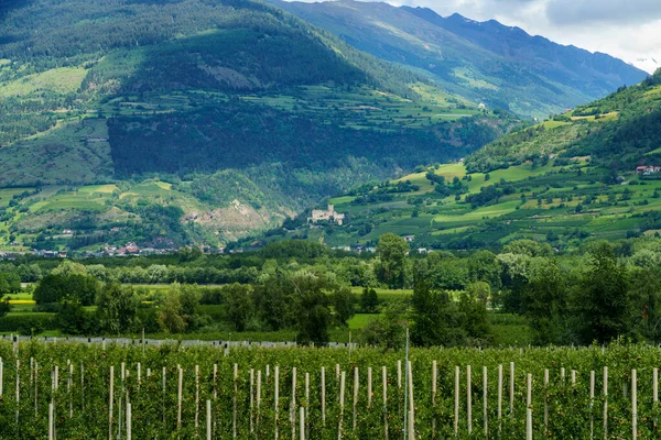 Sommarlandskap Längs Cykelvägen Venostadalen Och Floden Adige Bolzanoprovinsen Trentino Alto — Stockfoto