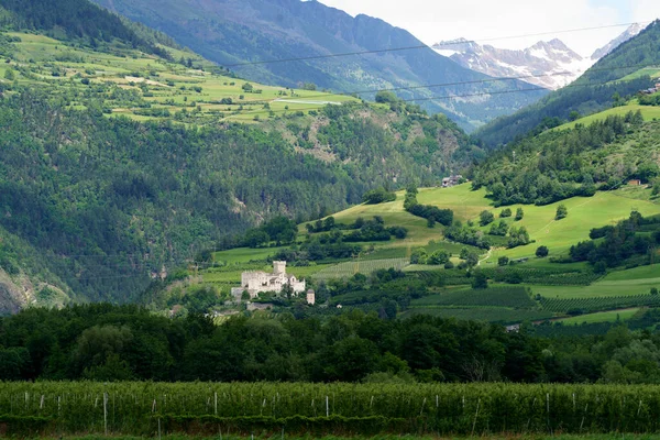 Letní Krajina Podél Cyklostezky Údolí Venosta Řeky Adige Provincii Bolzano — Stock fotografie