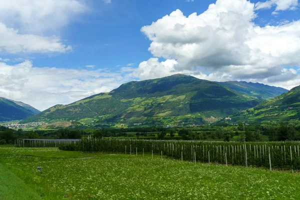 Paisagem Verão Longo Ciclovia Vale Venosta Rio Adige Província Bolzano — Fotografia de Stock