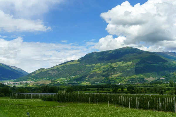 Paisagem Verão Longo Ciclovia Vale Venosta Rio Adige Província Bolzano — Fotografia de Stock