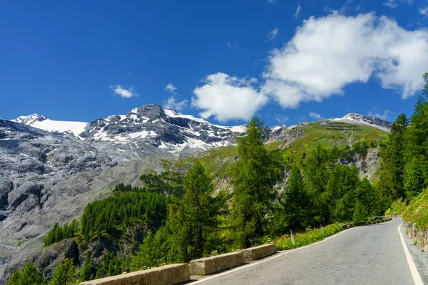 Ορεινό Τοπίο Κατά Μήκος Του Δρόμου Προς Stelvio Περάσει Επαρχία — Φωτογραφία Αρχείου