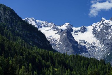 İtalya 'nın Trentino-Alto Adige bölgesindeki Stelvio geçidi boyunca uzanan dağ manzarası.