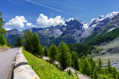 İtalya 'nın Trentino-Alto Adige bölgesindeki Stelvio geçidi boyunca uzanan dağ manzarası. Buzul