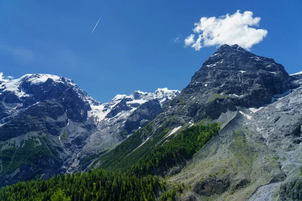 Peisaj Montan Lungul Drumului Spre Stelvio Trece Provincia Bolzano Trentino — Fotografie, imagine de stoc