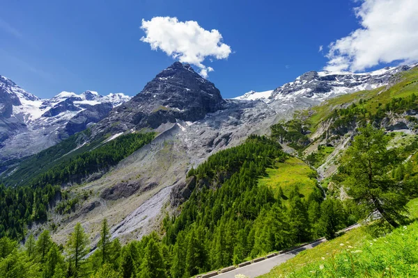 Paysage Montagneux Long Route Col Stelvio Province Bolzano Trentin Haut — Photo