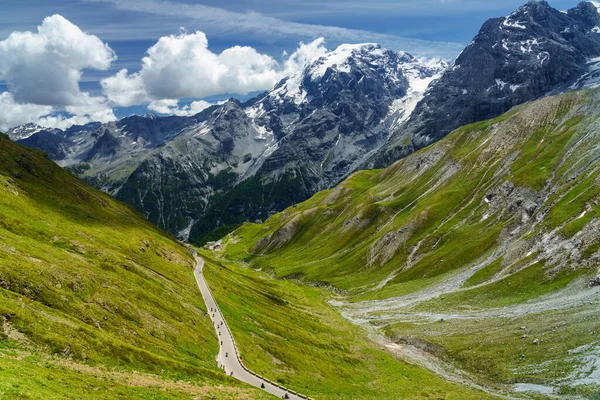 Ορεινό Τοπίο Κατά Μήκος Του Δρόμου Προς Stelvio Περάσει Επαρχία — Φωτογραφία Αρχείου