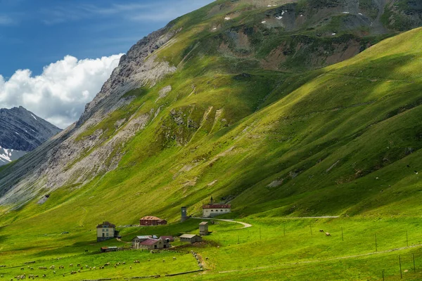 Berglandschaft Entlang Der Straße Zum Stilfserjoch Provinz Sondrio Lombardei Italien — Stockfoto