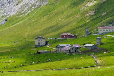 Stelvio geçidi boyunca uzanan dağ manzarası, Sondrio ili, Lombardy, İtalya, yaz mevsiminde.