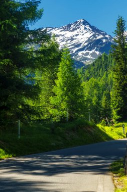 Passo Gavia, Sondrio ili, Lombardy, İtalya: yaz aylarında dağ geçidi boyunca manzara