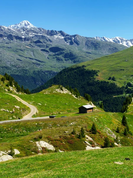 Passo Gavia Provincia Sondrio Lombardia Italia Paesaggio Lungo Passo Montagna — Foto Stock