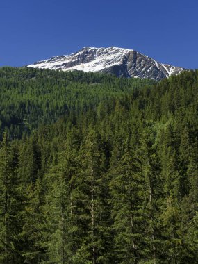 Passo Gavia, Sondrio ili, Lombardy, İtalya: yaz aylarında dağ geçidi boyunca manzara