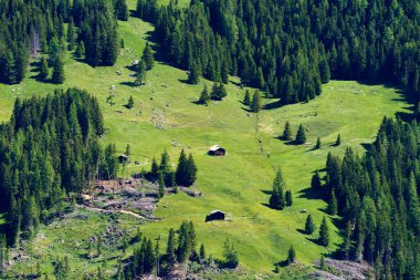 Passo Gavia, Sondrio ili, Lombardy, İtalya: yaz aylarında dağ geçidi boyunca manzara