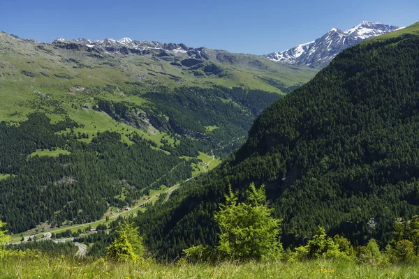 Passo Gavia Provincia Sondrio Lombardía Italia Paisaje Largo Del Paso —  Fotos de Stock