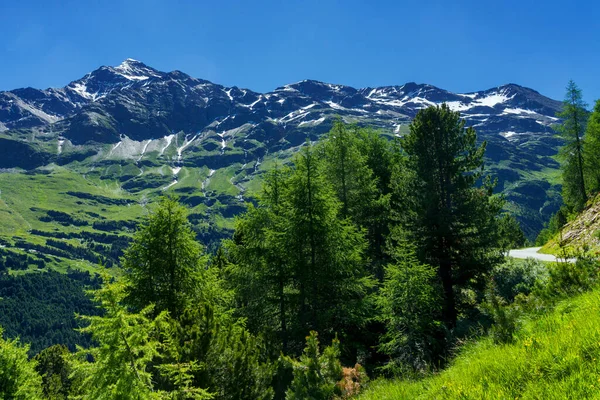 Passo Gavia Province Sondrio Lombardie Italie Paysage Long Col Montagne — Photo