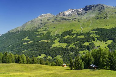 Passo Gavia, Sondrio ili, Lombardy, İtalya: yaz aylarında dağ geçidi boyunca manzara