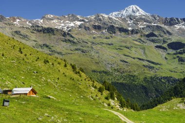 Passo Gavia, Sondrio ili, Lombardy, İtalya: yaz aylarında dağ geçidi boyunca manzara