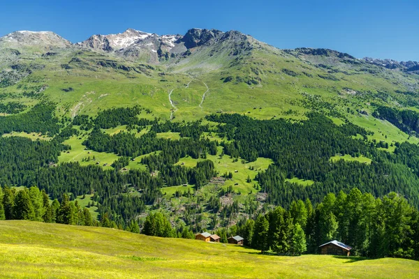 Passo Gavia Sondrio Provinsen Lombardia Italia Landskap Langs Fjellpasset Sommeren – stockfoto