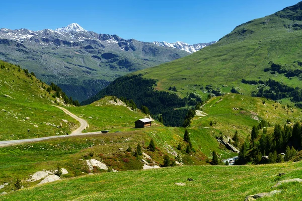 Passo Gavia Prowincja Sondrio Lombardia Włochy Letni Krajobraz Wzdłuż Przełęczy — Zdjęcie stockowe