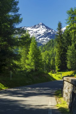 Passo Gavia, Sondrio ili, Lombardy, İtalya: yaz aylarında dağ geçidi boyunca manzara