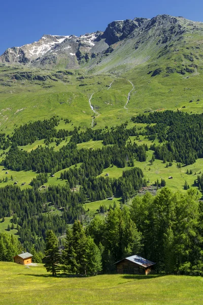 Passo Gavia Sondrio Province Lombardy Italy Landscape Mountain Pass Summer — Stock Photo, Image