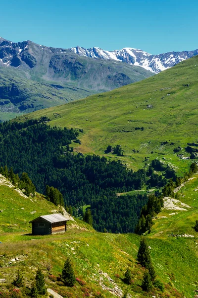 Passo Gavia Sondrio Province Lombardy Italy Landscape Mountain Pass Summer — Stock Photo, Image