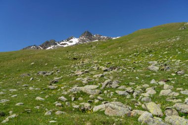 Passo Gavia, Sondrio ili, Lombardy, İtalya: yaz aylarında dağ geçidi boyunca manzara