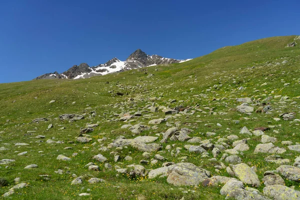 Passo Gavia Provincie Sondrio Lombardije Italië Landschap Langs Bergpas Zomer — Stockfoto