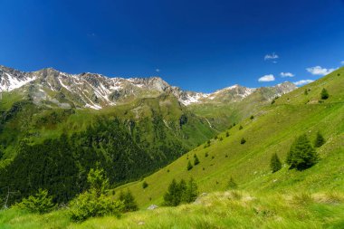 Passo Gavia, Brescia ili, Lombardy, İtalya: yaz aylarında dağ geçidi boyunca manzara