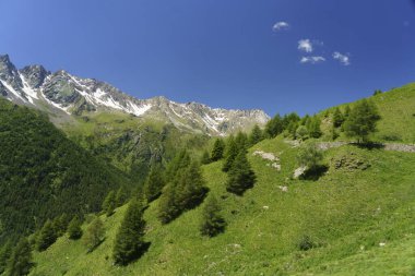 Passo Gavia, Brescia ili, Lombardy, İtalya: yaz aylarında dağ geçidi boyunca manzara