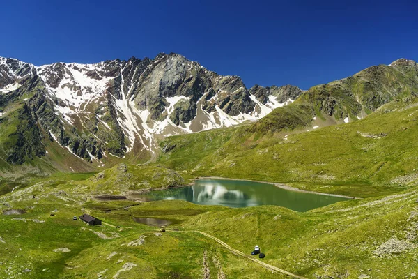 Passo Gavia Prowincja Brescia Lombardia Włochy Letni Krajobraz Wzdłuż Przełęczy — Zdjęcie stockowe