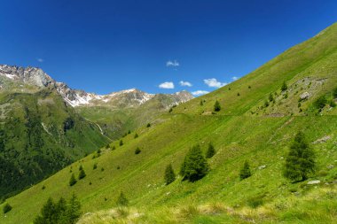 Passo Gavia, Brescia ili, Lombardy, İtalya: yaz aylarında dağ geçidi boyunca manzara