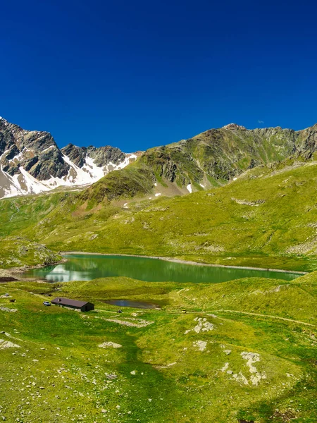 Passo Gavia Prowincja Brescia Lombardia Włochy Letni Krajobraz Wzdłuż Przełęczy — Zdjęcie stockowe