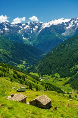 Passo Gavia, Brescia ili, Lombardy, İtalya: yaz aylarında dağ geçidi boyunca manzara