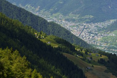 Yaz mevsiminde Mortirolo geçidi boyunca uzanan dağ manzarası Sondrio, Lombardy, İtalya 'da