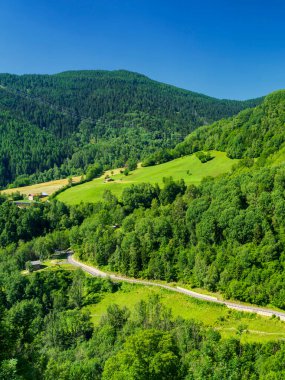 İtalya 'nın Lombardy bölgesindeki Brescia eyaletindeki Mortirolo geçidi boyunca yaz aylarında dağ manzarası