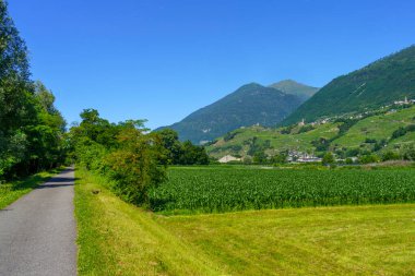 Sentiero della Valtellina, Sondrio ili, Lombardy, İtalya: bisiklet yolundan görünen üzüm bağları olan kırsal bölge