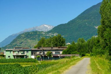 Sentiero della Valtellina, Sondrio ili, Lombardy, İtalya: bisiklet yolundan görünen üzüm bağları olan kırsal bölge