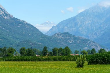 Dubino, Sondrio ili, Lombardy, İtalya: Valtellina 'nın yazın manzarası